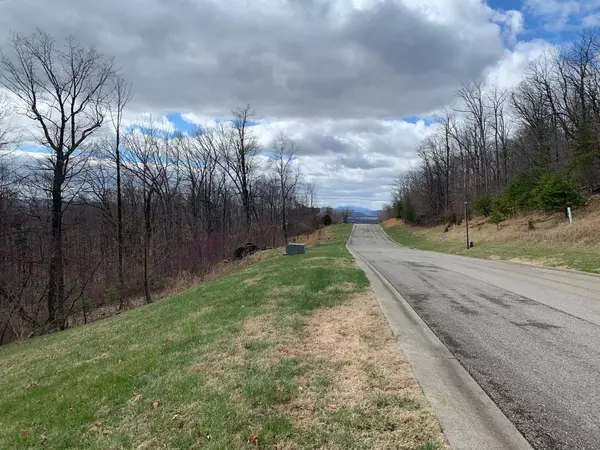 Rocky Mount, VA 24151,Lot 37 Summit DR