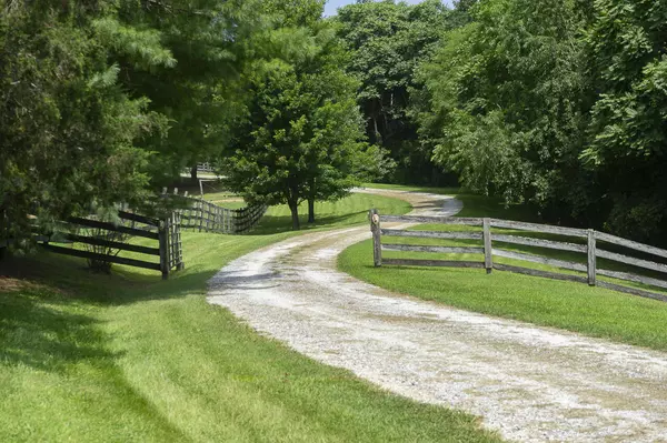 Buchanan, VA 24066,9195 Springwood RD