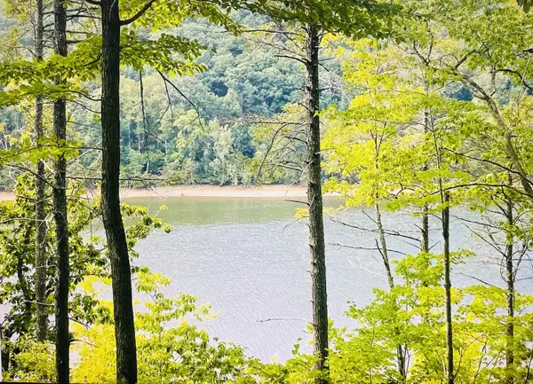 Lot 119 Greenberry DR, Pittsville, VA 24139