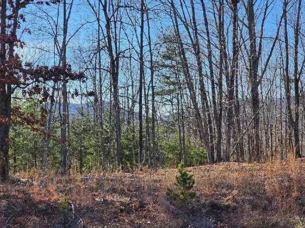 Pittsville, VA 24139,Lot 7 Robin Ridge CT