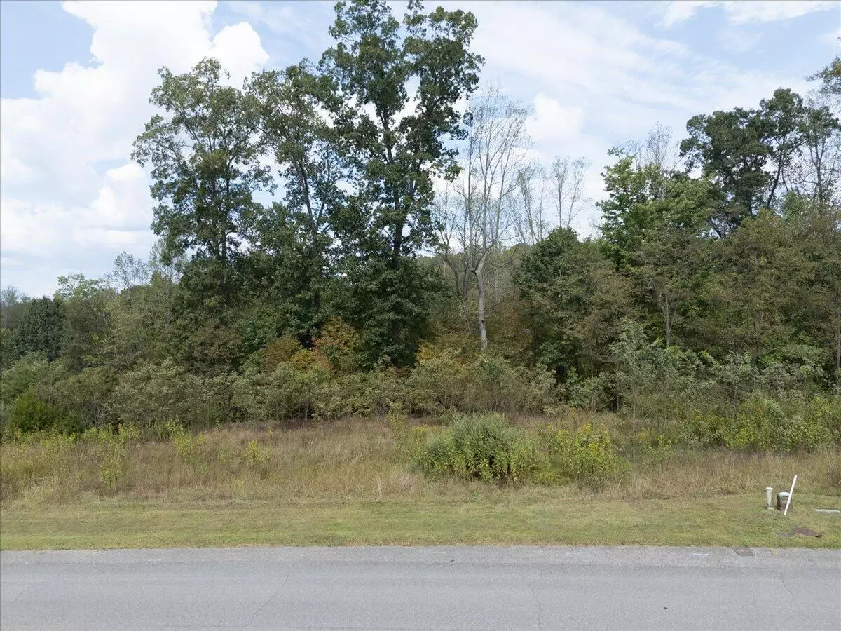Moneta, VA 24121,Lot 21 Watchtower DR