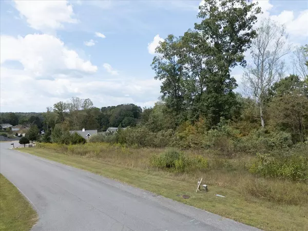 Moneta, VA 24121,Lot 21 Watchtower DR