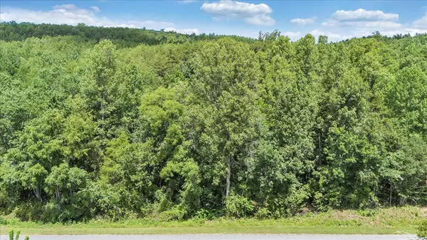 Pittsville, VA 24139,0 Milam RD