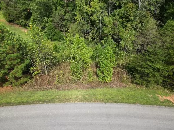 Glade Hill, VA 24092,00 SPRING CHASE DR