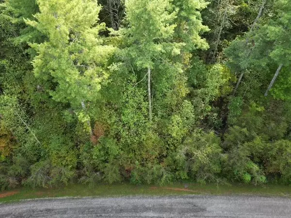 Callaway, VA 24067,00 SAGE LN