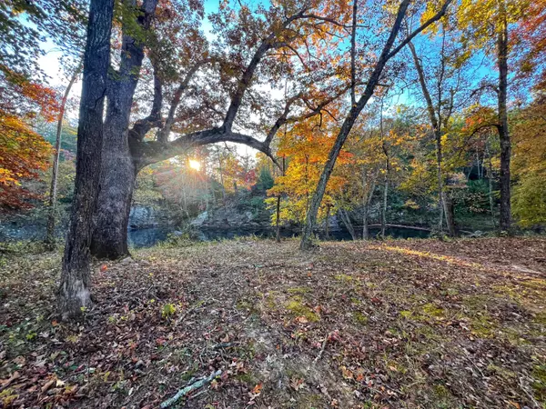 Eagle Rock, VA 24085,tbd Craigs Creek RD