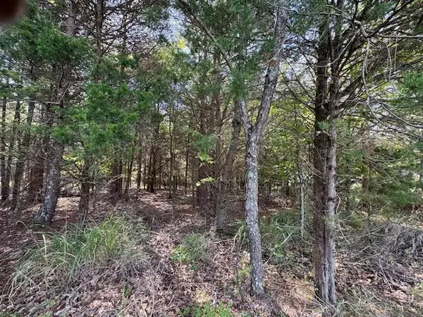 Moneta, VA 24121,0 Bluewater DR