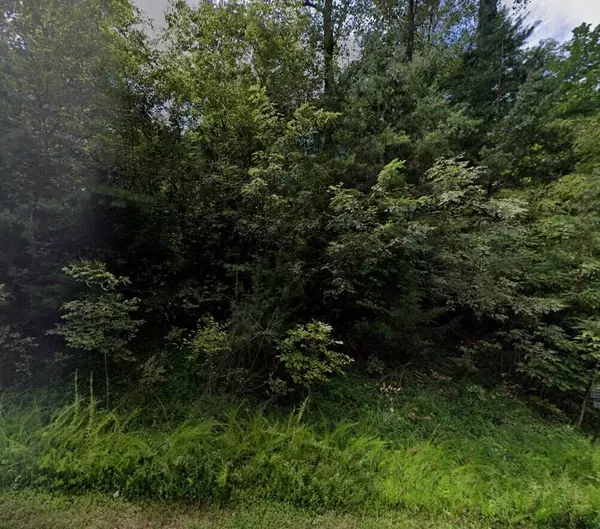 Pittsville, VA 24139,Lot 9 Waterside TER