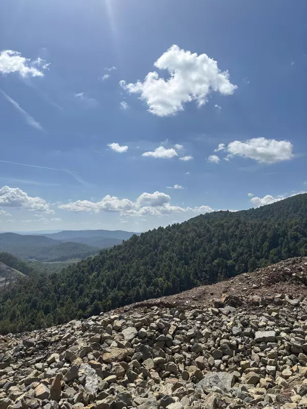 0 Jeb Stuart Hwy, Meadows Of Dan, VA 24120