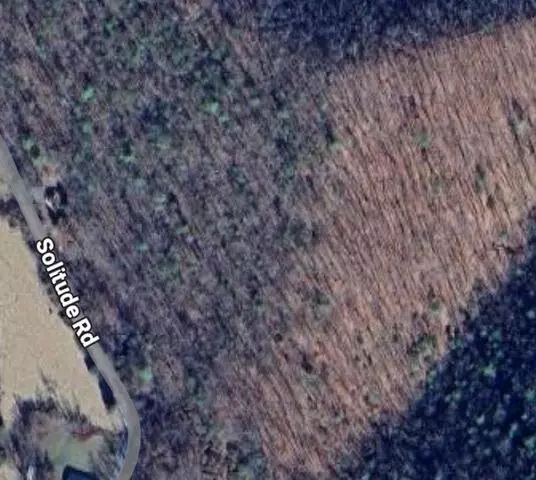 0 Solitude RD, Buchanan, VA 24066
