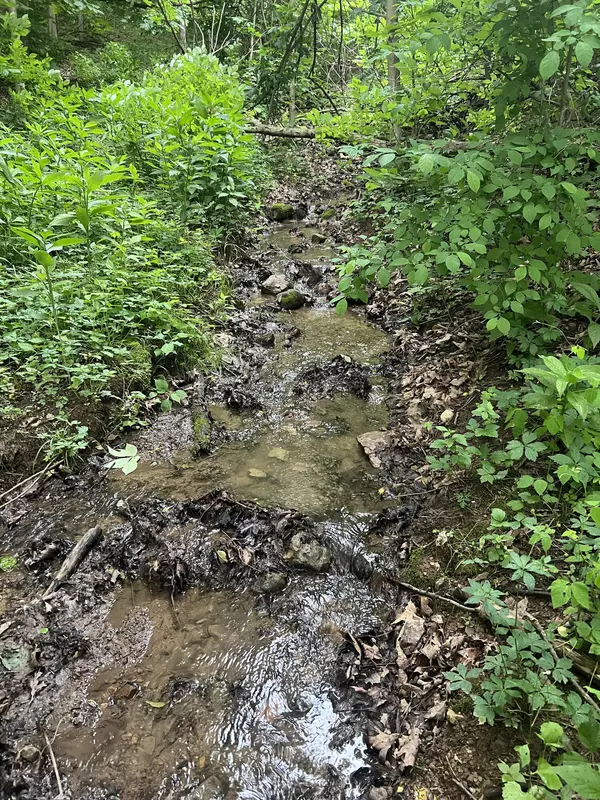 Narrows, VA 24124,0 Robertson Mountain RD