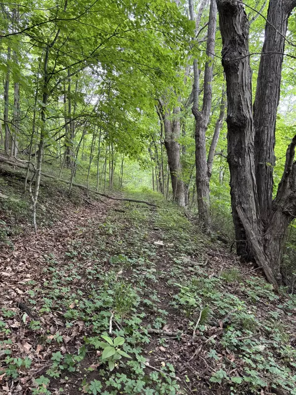 Narrows, VA 24124,0 Robertson Mountain RD