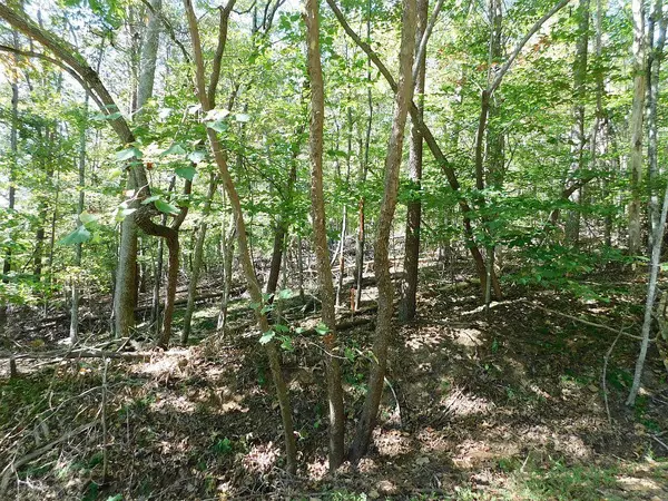 Hardy, VA 24101,Lot 24 Cedar Bluff LN