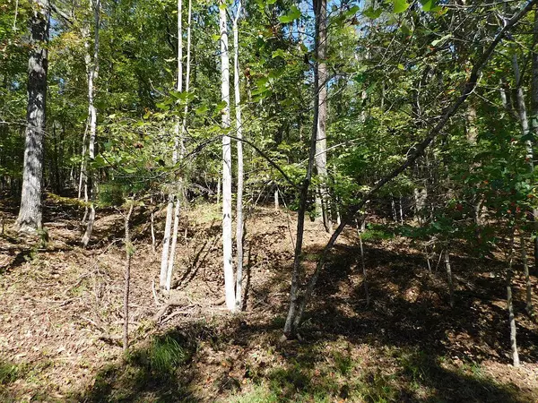 Hardy, VA 24101,Lot 24 Cedar Bluff LN