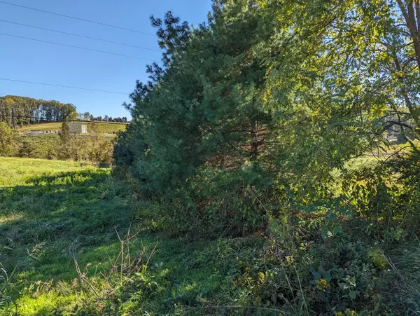 Boones Mill, VA 24065,0 Taylors RD