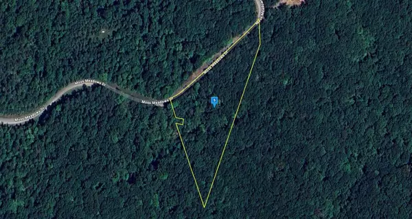 1925 Moss Meadows DR, Pittsville, VA 24139