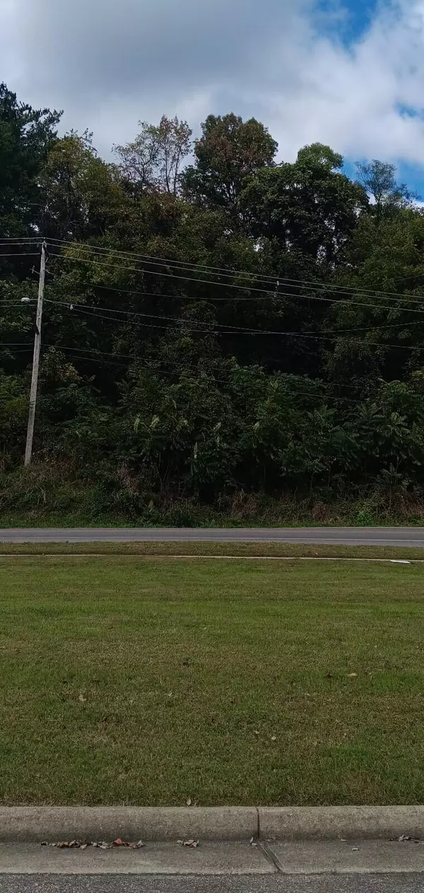 Roanoke, VA 24015,0 Brandon AVE SW