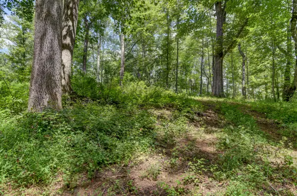 Bedford, VA 24523,0 North Otter Creek RD