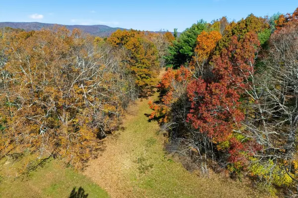 Bent Mountain, VA 24059,261 Cobble LN