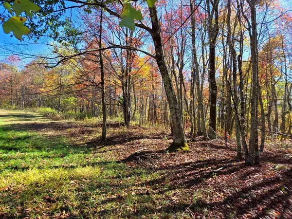 Shady Spring, WV 25918,0 Bennett Mountain RD