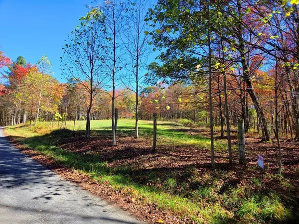 Shady Spring, WV 25918,0 Bennett Mountain RD