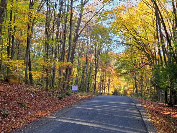 Shady Spring, WV 25918,0 Old Pluto RD