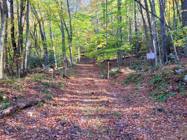 Shady Spring, WV 25918,0 Old Pluto RD