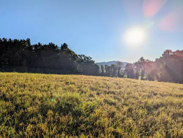 Check, VA 24072,TBD Daniels Run RD