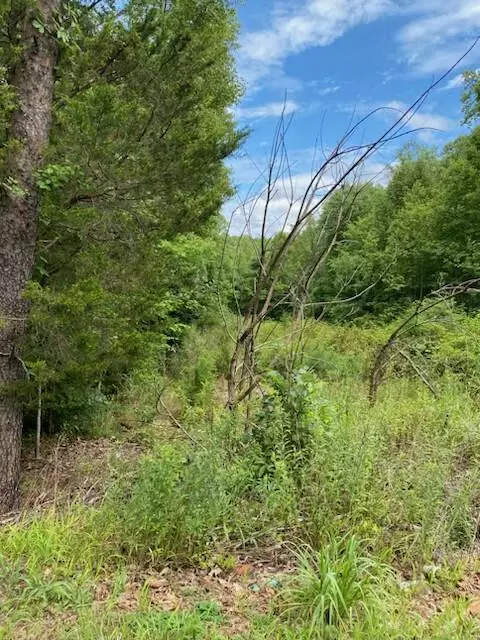 Rocky Mount, VA 24151,0 Hollyfield RD