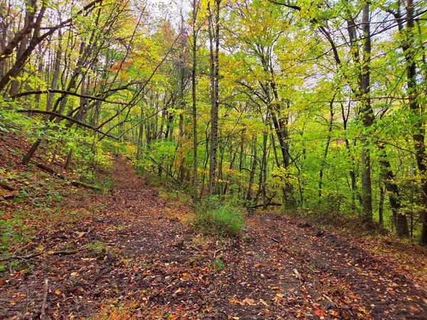 Shady Spring, WV 25918,0 Pluto RD