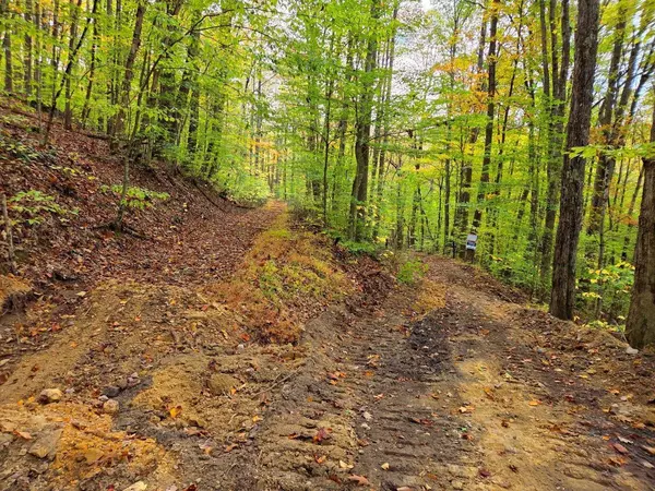 Shady Spring, WV 25918,0 Pluto RD