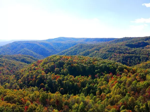 Meadow Bridge, WV 25976,0 Backus Mountain RD