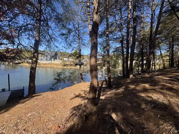 Moneta, VA 24121,Lot 6 Isle Of Pines DR