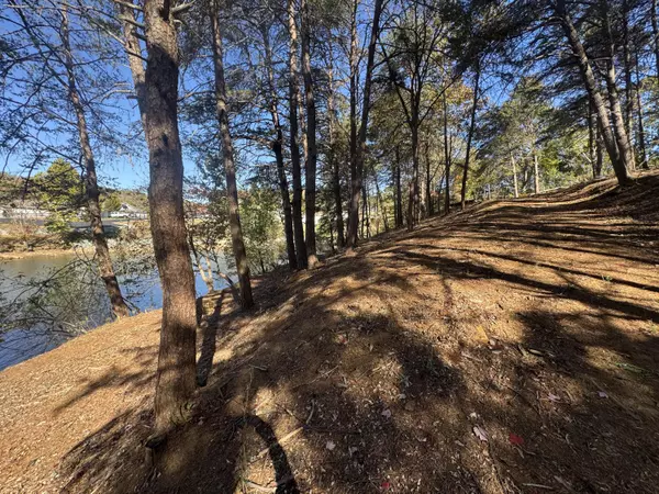 Moneta, VA 24121,Lot 6 Isle Of Pines DR