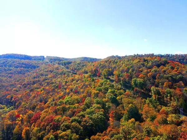 Meadow Bridge, WV 25976,0 Sewell Creek RD