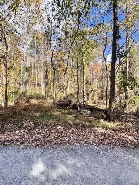 0 Dry Branch RD, Pembroke, VA 24136