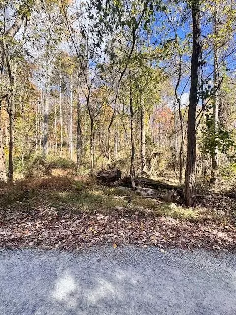 0 Dry Branch RD, Pembroke, VA 24136