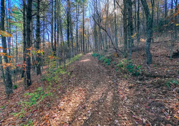 Meadows Of Dan, VA 24120,0 Shelor RD SW