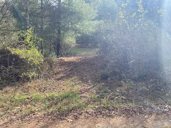 Willis, VA 24380,TBD Merifield RD