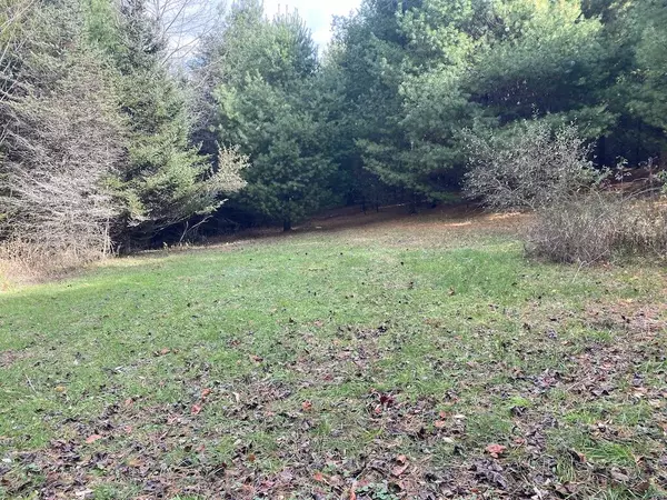 Willis, VA 24380,TBD Merifield RD