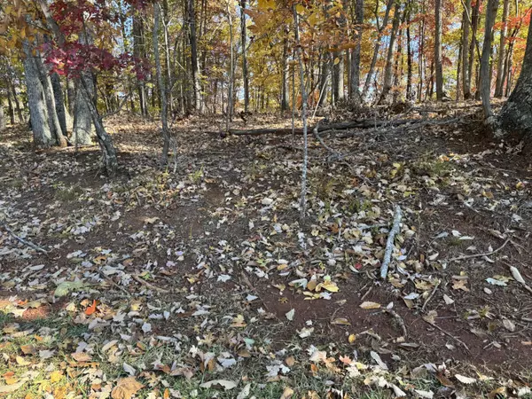 Goodview, VA 24095,Lot2 Snidow DR