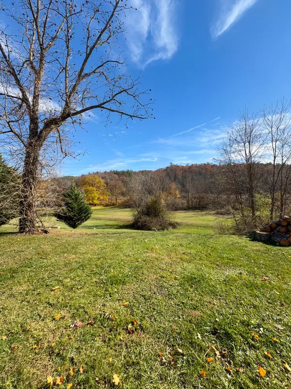 Bacova, VA 24412,120 Lake View DR