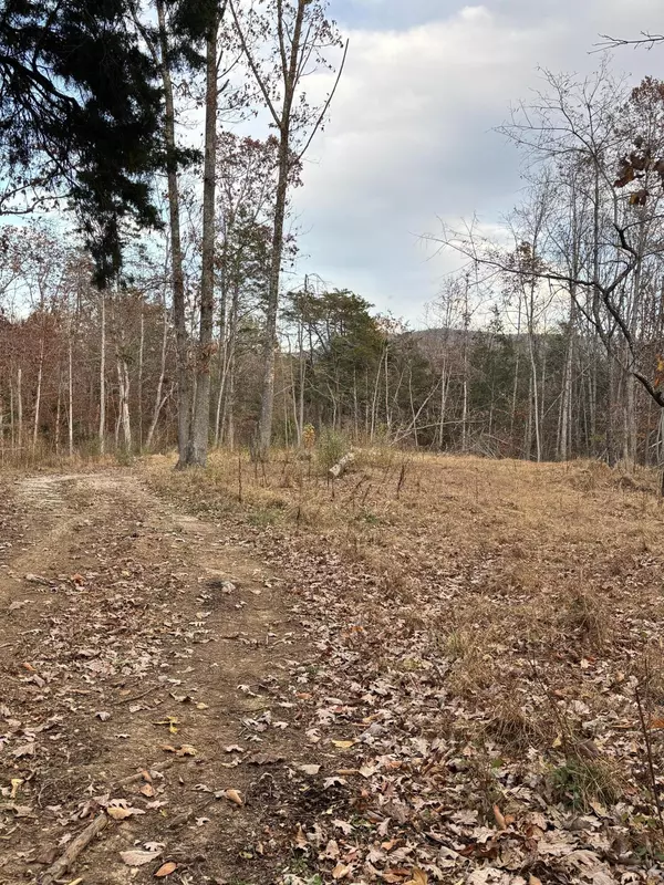 Buchanan, VA 24066,170 Glider WAY