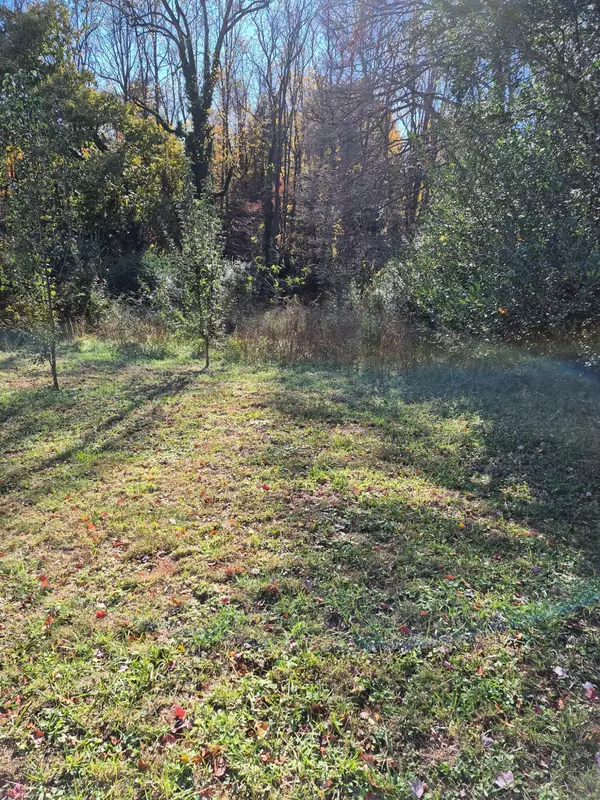 Bassett, VA 24055,36 Westwood CT