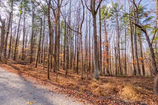 Copper Hill, VA 24079,0 Autumn DR