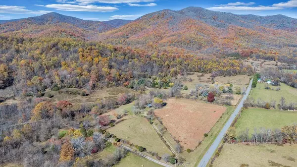 Big Island, VA 24526,1001 RICHIE FARM LN