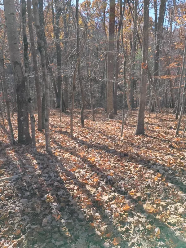 Moneta, VA 24121,55 Old Barn RD