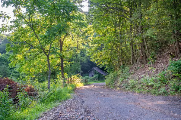 Dugspur, VA 24325,000 Fairhaven DR