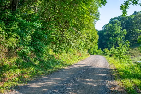 Dugspur, VA 24325,000 Fairhaven DR