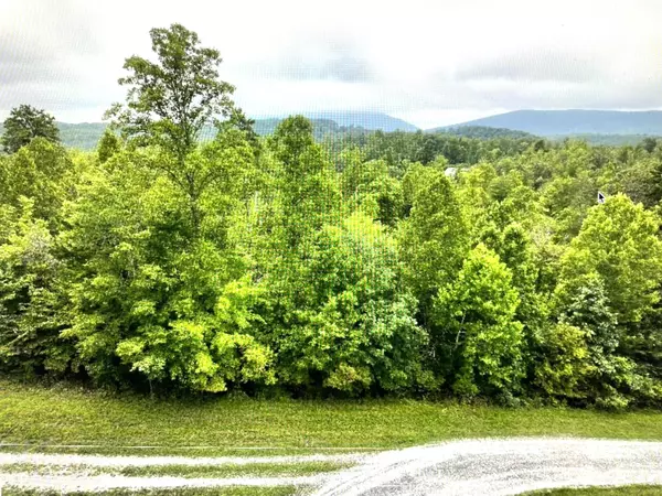 Pittsville, VA 24139,Lot 5 Reservoir View DR